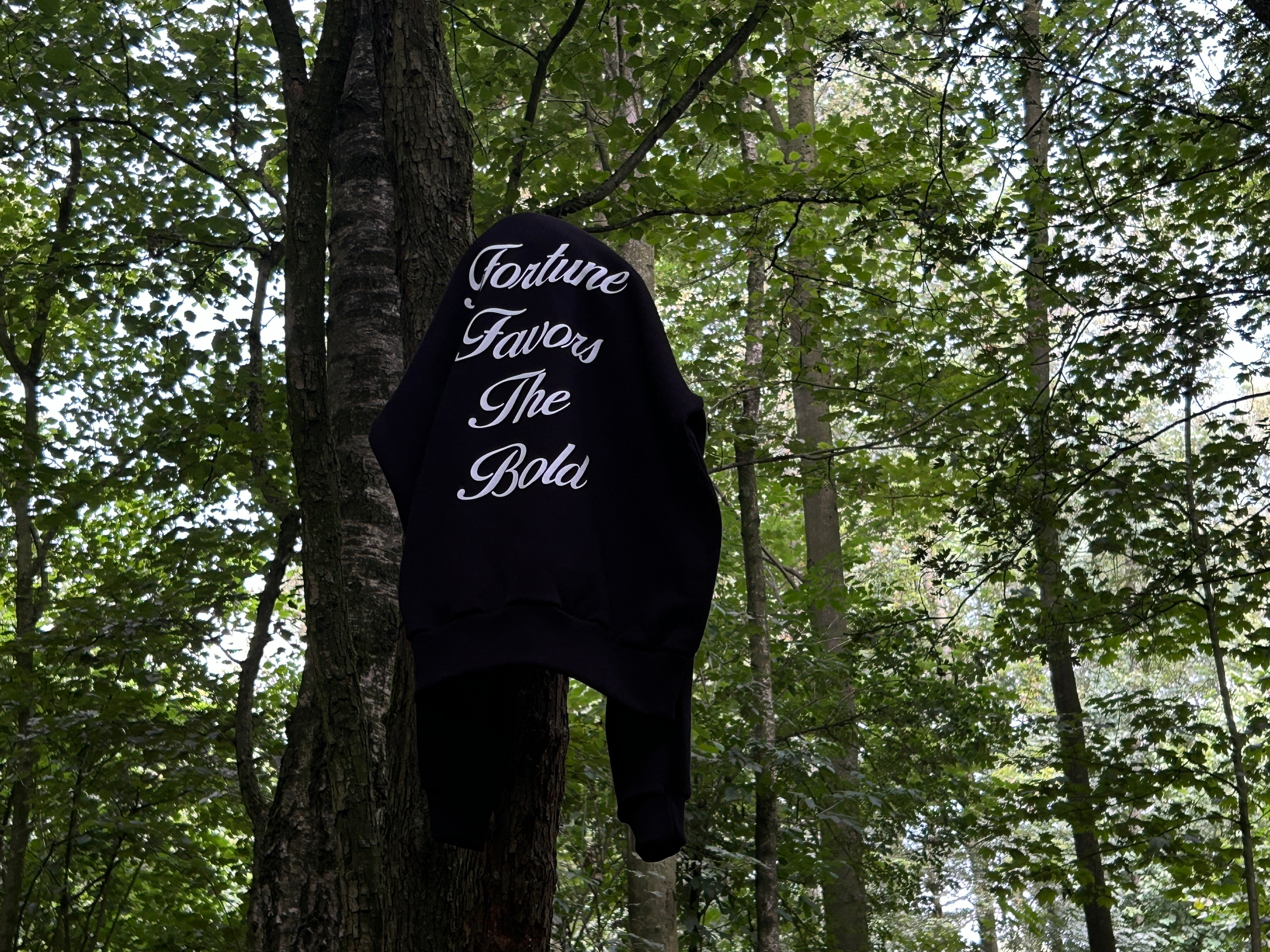 Vita Aeterna Fortune Favors The Bold crewneck hangt in een boom